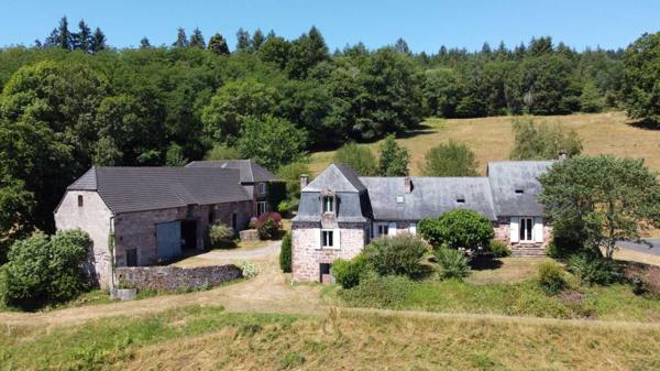 Maison ancienne - Terrasson Belle propriété de caractère offrant plus de 21 hectares, aux portes du Périgord Noir, dans un emplacement calme et isolé entre MONTIGNAC, TERRASSON et HAUTEFORT.