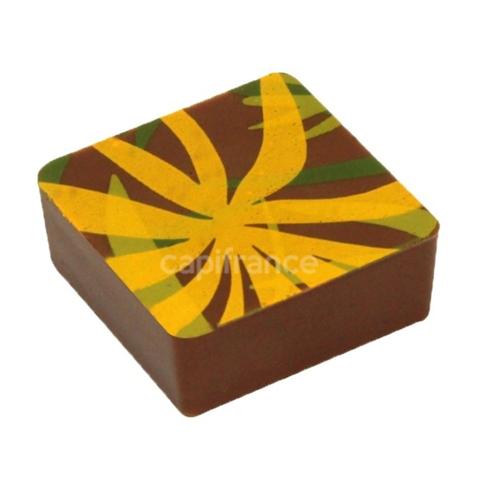 Dpt Charente (16), à vendre à COGNAC Chocolaterie