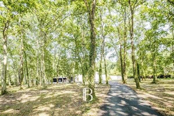 Le Taillan-Médoc, Villa 6 Chambres -  400 m² à vendre