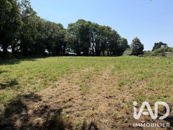 Terrain à vendre 2 919 m² Plouhinec