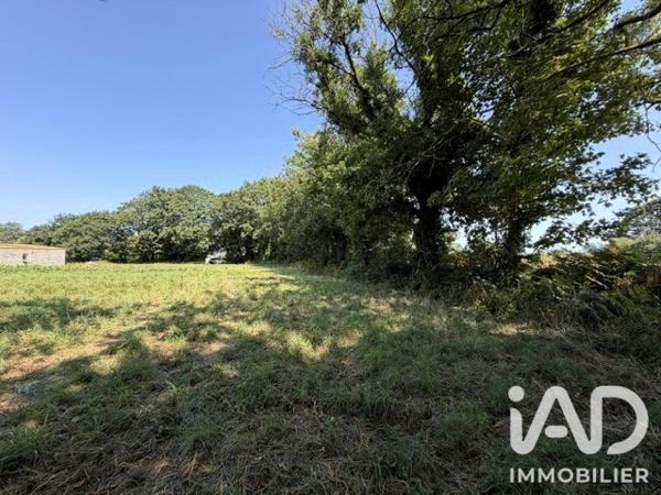 Terrain à vendre 2 919 m² Plouhinec