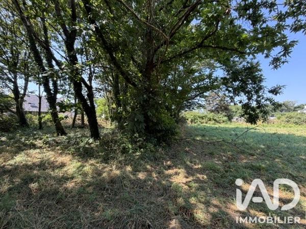 Terrain à vendre 2 919 m² Plouhinec