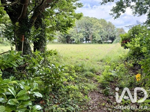 Terrain à vendre 2 919 m² Plouhinec