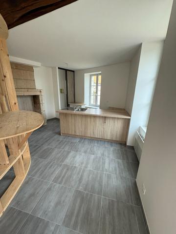 Appartement 2 pièces entièrement rénové - 50 m² - Charme de l'ancien