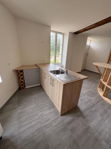 Appartement 2 pièces entièrement rénové - 50 m² - Charme de l'ancien