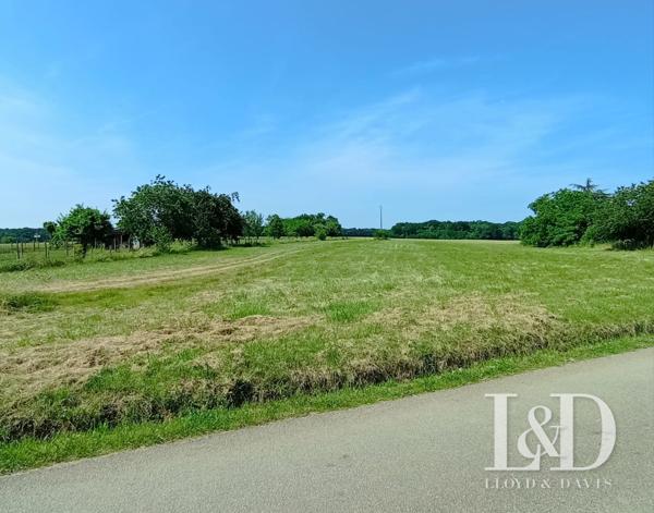TERRAIN CONSTRUCTIBLE - 5000M2 - À 5 MINUTES DE PONT SUR YONNE