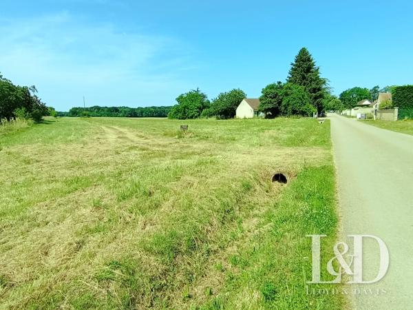 TERRAIN CONSTRUCTIBLE - 5000M2 - À 5 MINUTES DE PONT SUR YONNE