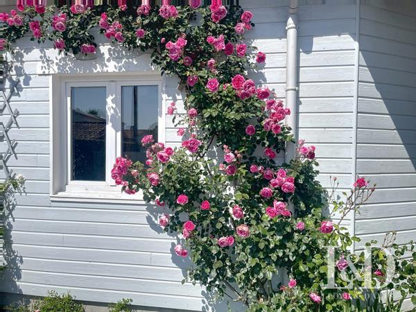 LA TREMBLADE : maison ossature bois 190 m² avec piscine sur 1000 m² de terrain