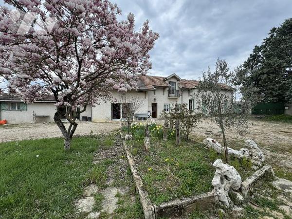 Maison avec grand terrain