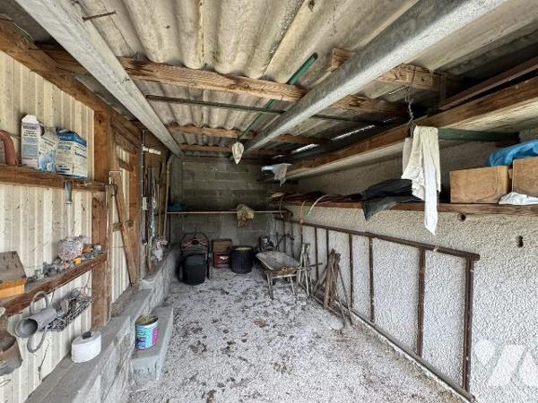 Maison avec grand terrain