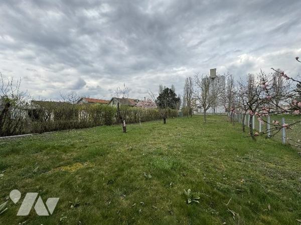 Maison avec grand terrain