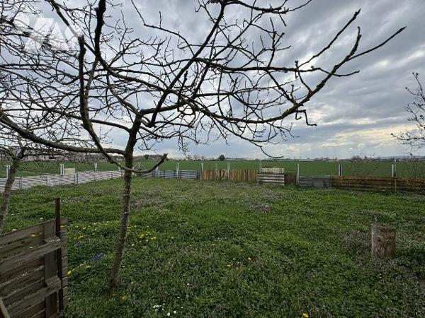 Maison avec grand terrain