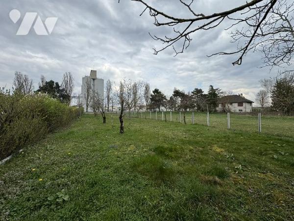 Maison avec grand terrain