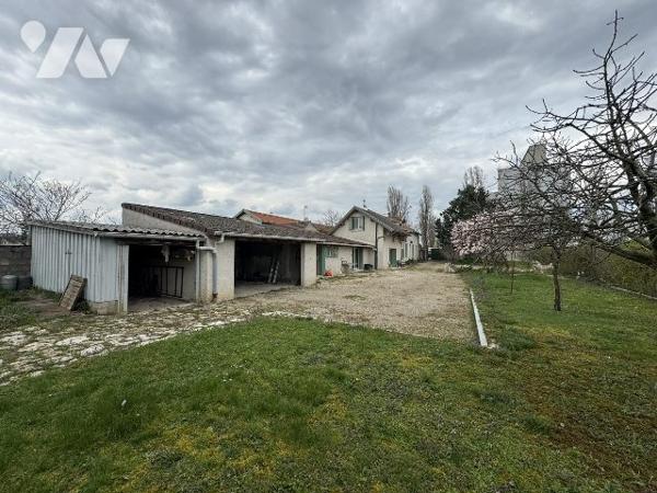 Maison avec grand terrain