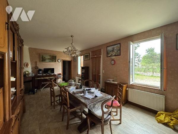 Maison avec grand terrain