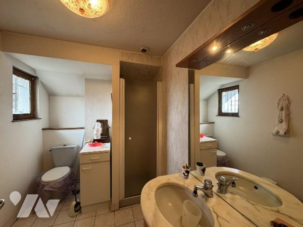 Maison avec grand terrain