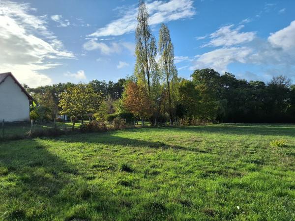 Terrain à LA TRIMOUILLE (86290)