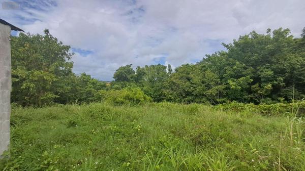 Terrain à Batir à vendre à Sainte-Anne en Guadeloupe (97180), ref : 15056/152
