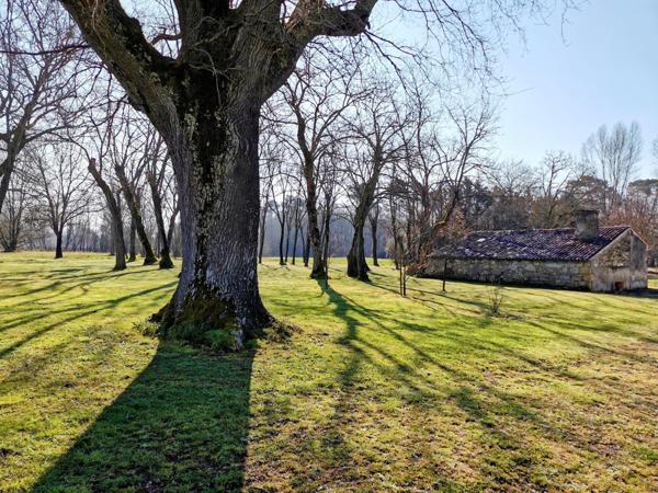 Havre de paix pour ce domaine de 320 m²