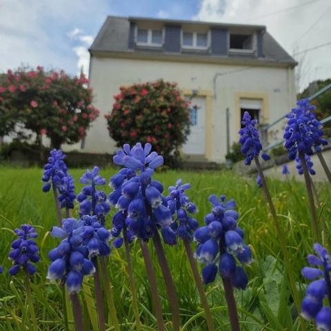 La non mitoyenne avec vue . , Quimper