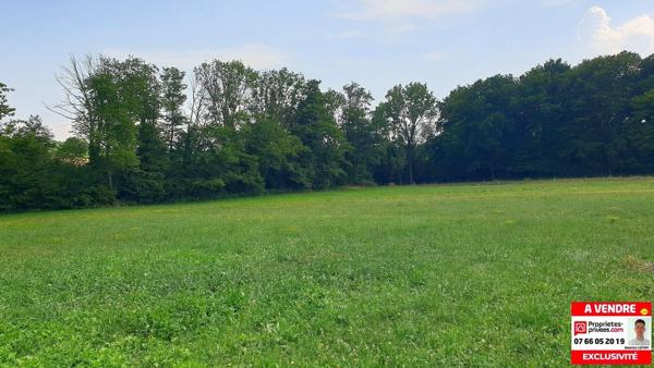 Terrain de 4 165 m²