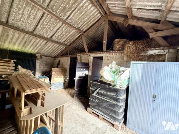 ✨EN EXCLUSIVITÉ✨