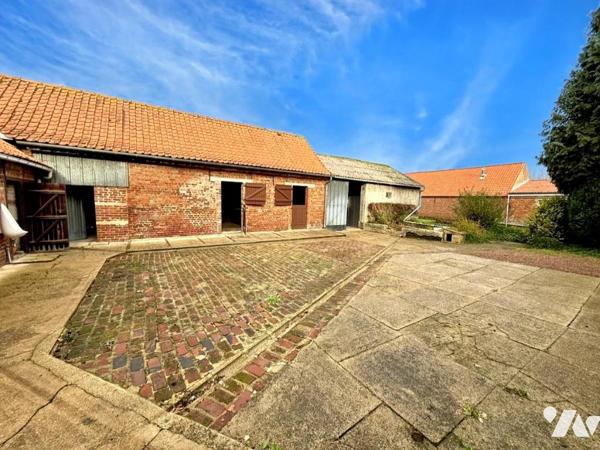 ✨EN EXCLUSIVITÉ✨