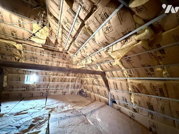 ✨EN EXCLUSIVITÉ✨