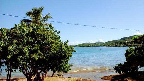 Location / Appartement T3