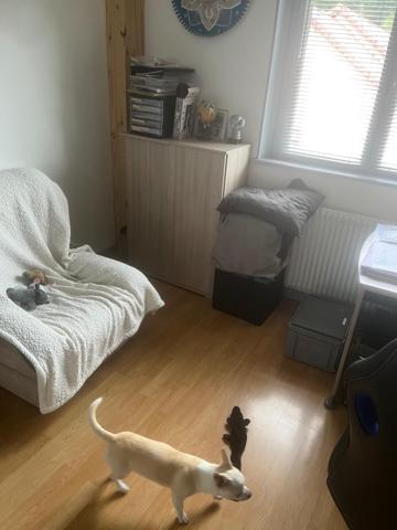 Pavillon sur sous-sol situé au calme centre-ville