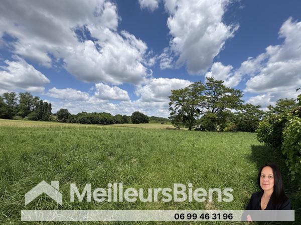 Maison de campagne à rénover avec dépendances et terrain – 5 min de Montguyon
