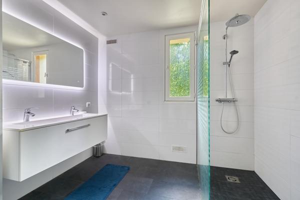 Grande maison de caractère avec grand jardin arboré