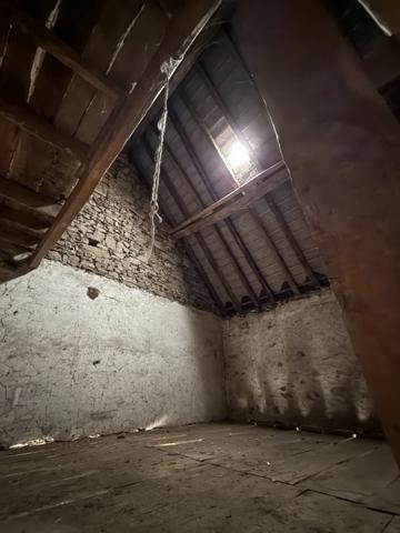 Maison de ville de 157m² avec potentiel local professionnel et dépendances, jardin 90 950 €