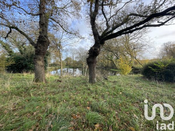 Longère 6 pièces de 195 m² à Belz (56550)