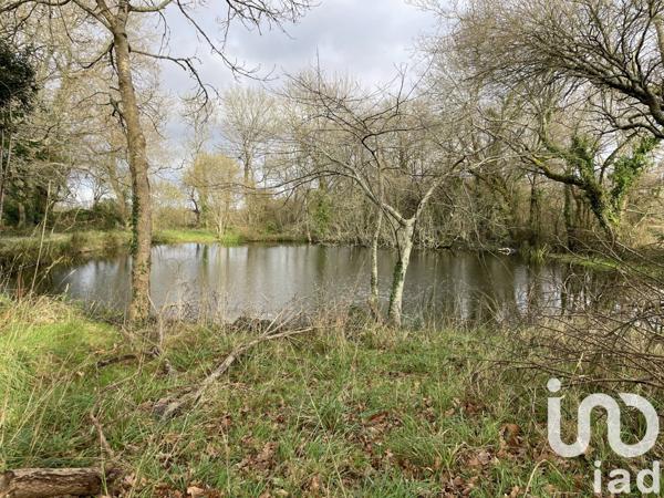 Longère 6 pièces de 195 m² à Belz (56550)