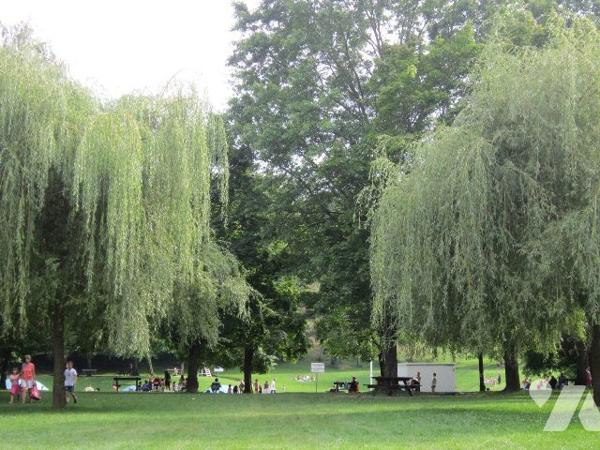 Grand T5 Neuf avec Terrasse