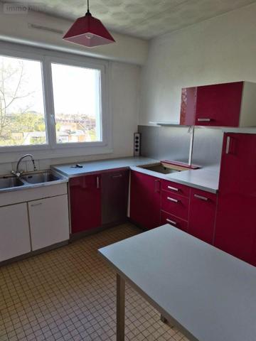 Appartement à louer à Malo-les-Bains dans le Nord (59240), ref : S5438
