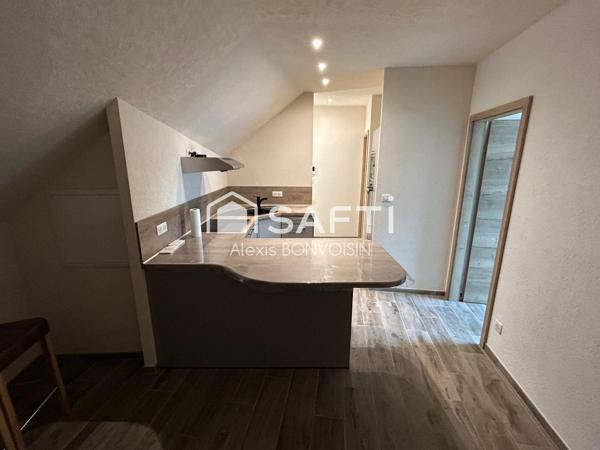 EN EXCLUSIVITÉ – Appartement T3 Duplex au cœur d'Oberhoffen-sur-Moder