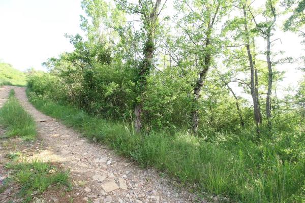 A vendre une bâtisse avec 2 logements avec terrain non attenant.