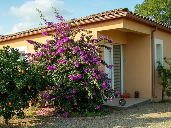 Maison Cuxac D Aude 5 pièce(s) 152 m2