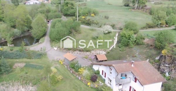 Petit paradis naturel sur le Plateau des Mille Étangs