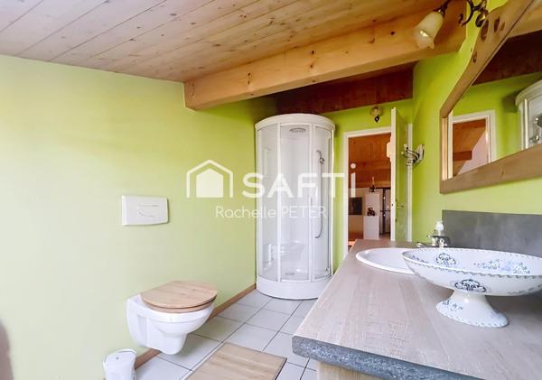 Petit paradis naturel sur le Plateau des Mille Étangs