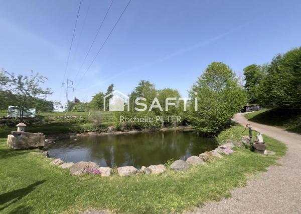 Petit paradis naturel sur le Plateau des Mille Étangs