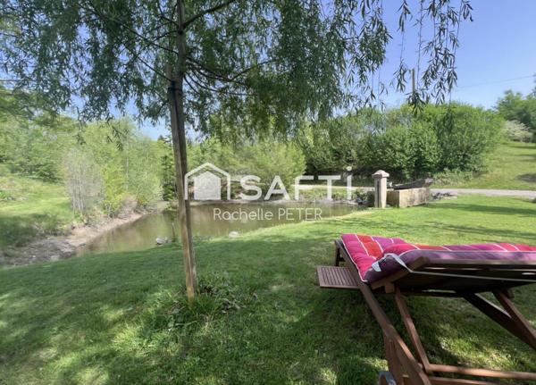 Petit paradis naturel sur le Plateau des Mille Étangs