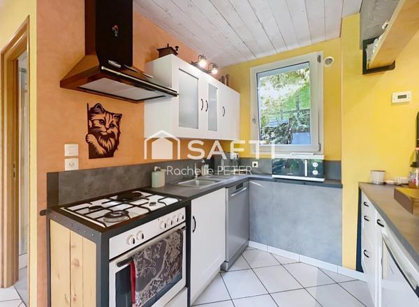 Petit paradis naturel sur le Plateau des Mille Étangs