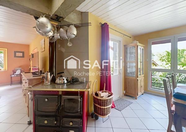 Petit paradis naturel sur le Plateau des Mille Étangs