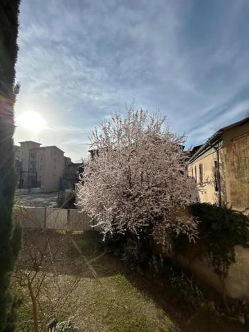 Appartement à louer à Vienne (38200)