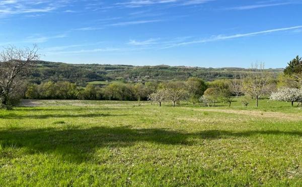 Terrain à vendre |  Foulayronnes |  3100 m²