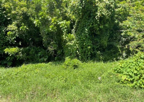 LE MARIN MAGNIFIQUE TERRAIN DE 3300 M2