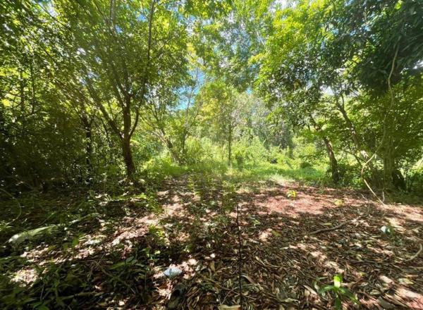 LE MARIN MAGNIFIQUE TERRAIN DE 3300 M2